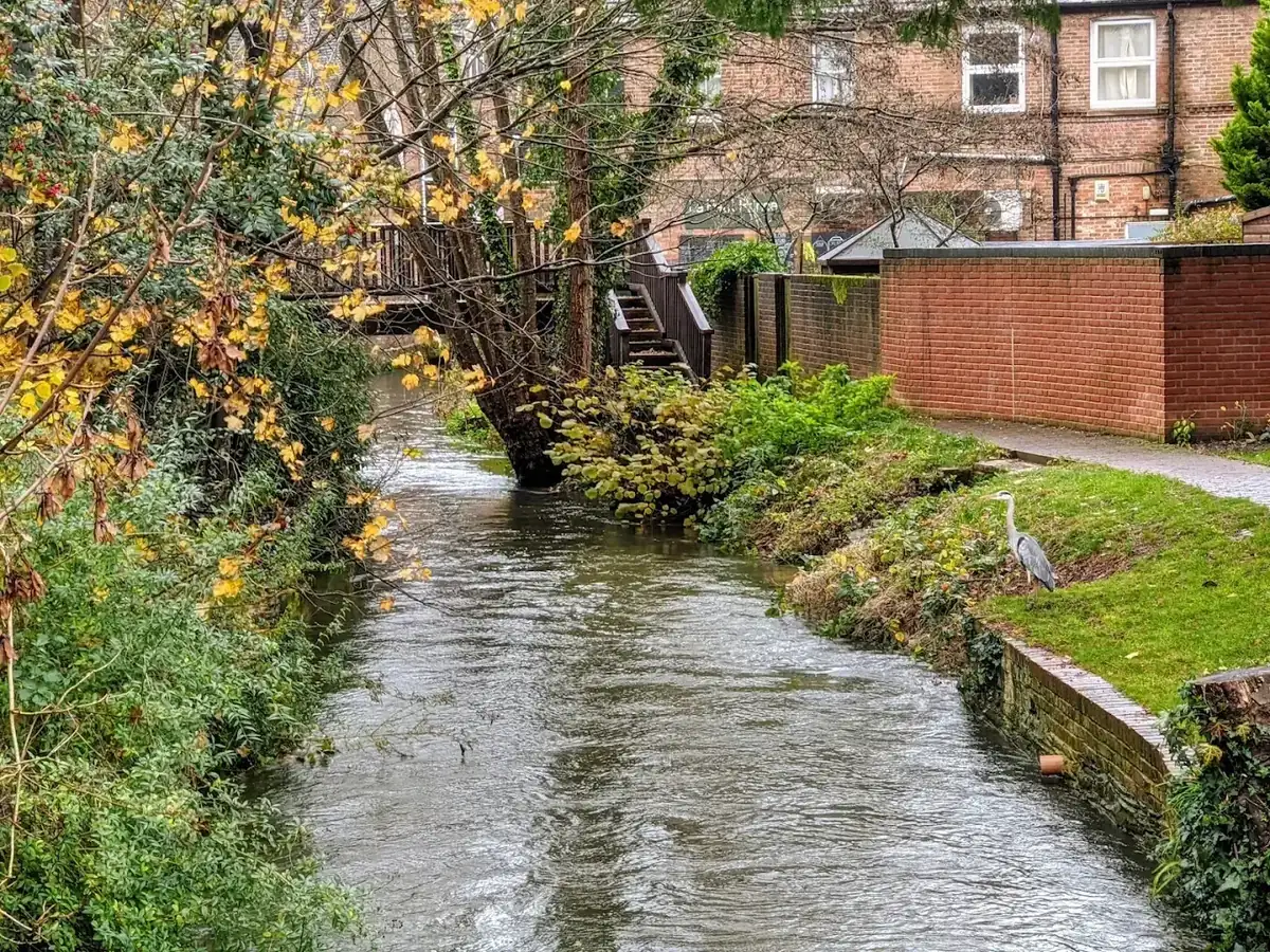 Wimborne riverside and local area